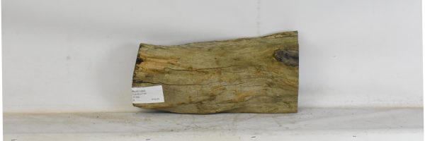 BLAF1289_2