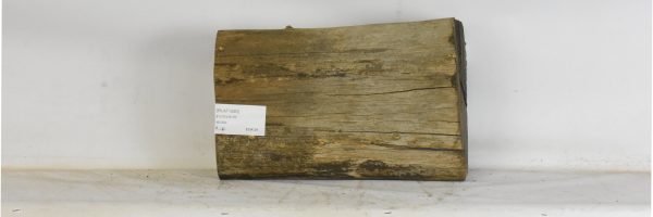 BLAF1290_2