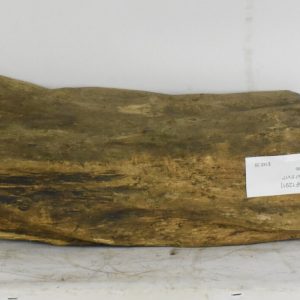 BLAF1291_1