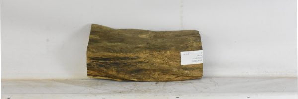 BLAF1291_1