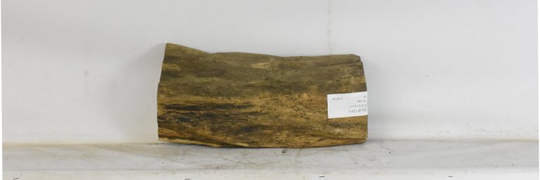BLAF1291_1
