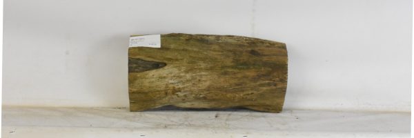 BLAF1291_2