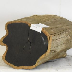 BLAF1293_1