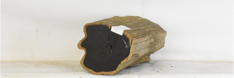 BLAF1293_1