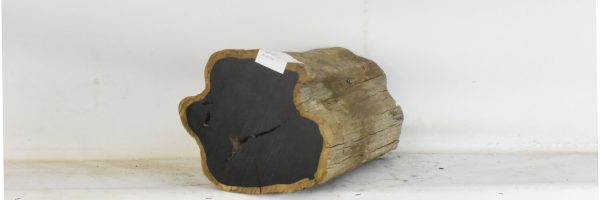 BLAF1293_2