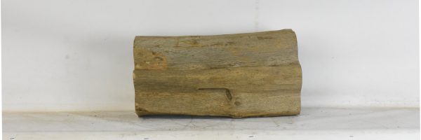 Blackwood - African - Image 4