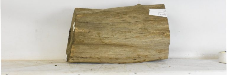 BLAF1294_1