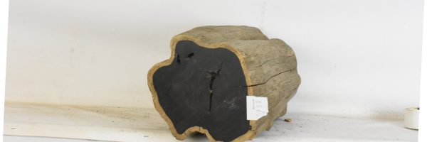 Blackwood - African - Image 3