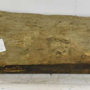 BLAF1295_1