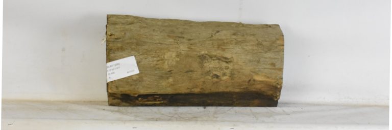 BLAF1295_1
