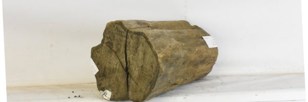 Blackwood - African - Image 4