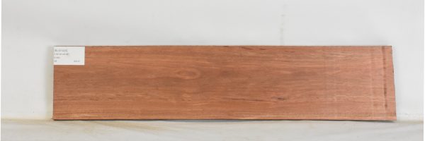 BLW1425_1