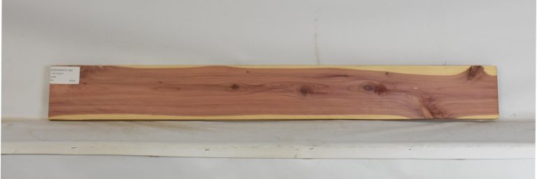 CEDARARO1186_1