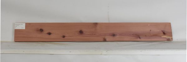 CEDARARO1188_2
