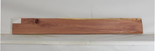 CEDARARO1191_1