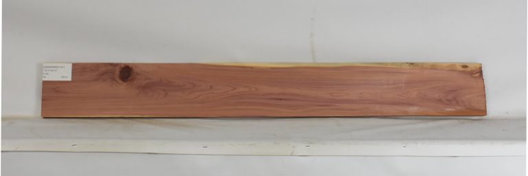 CEDARARO1191_1