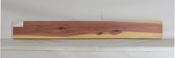 CEDARARO1193_1