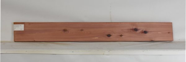 CEDARARO1195_1