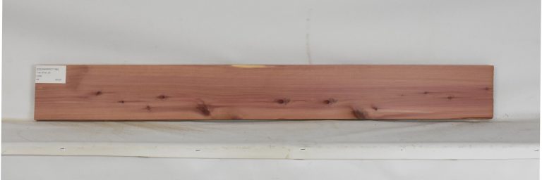 CEDARARO1196_1