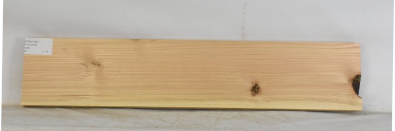 CEDJ1302_1