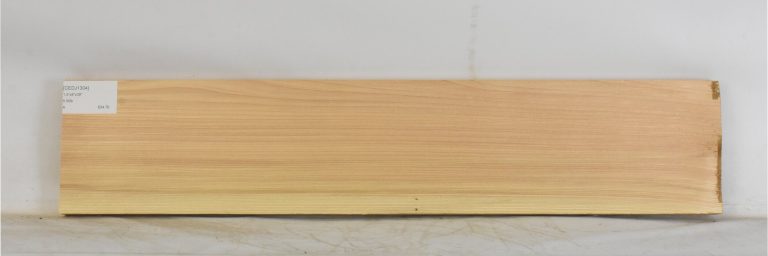 CEDJ1304_1