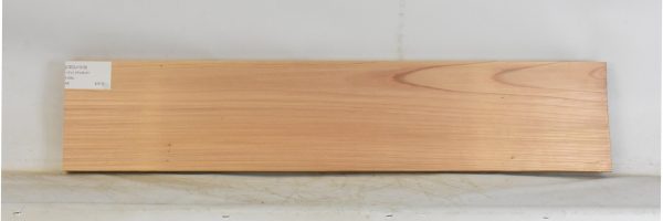 CEDJ1319_2