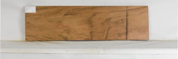 JATOB1178_1