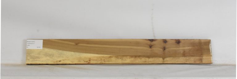 KIAAT1341_1