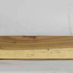 KIAAT1342_1
