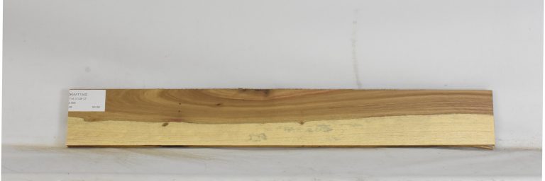 KIAAT1342_1