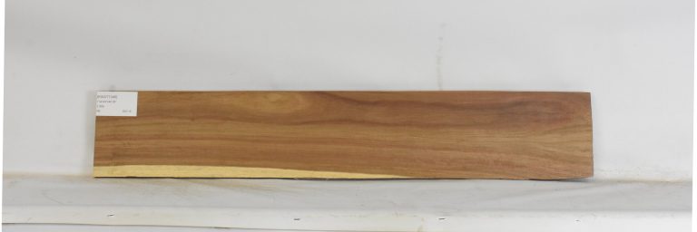 KIAAT1346_1