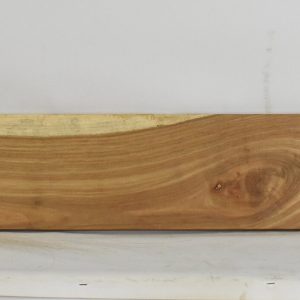 KIAAT1348_1