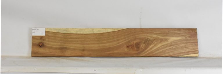 KIAAT1348_1