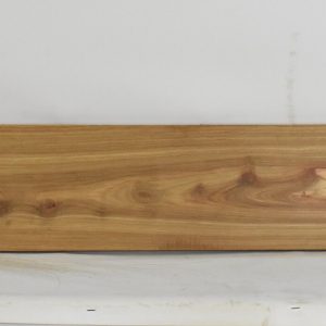KIAAT1349_1