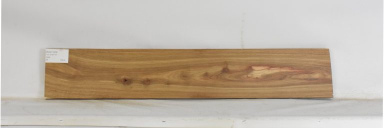 KIAAT1349_1