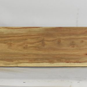 KIAAT1352_1
