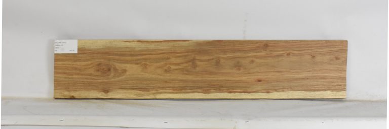KIAAT1352_1
