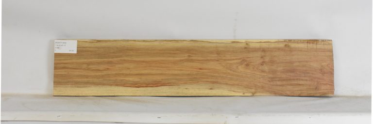 KIAAT1353_1