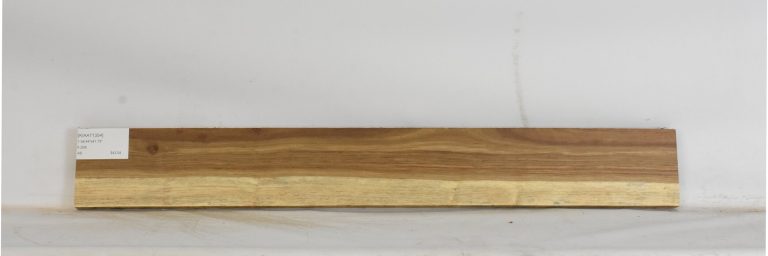 KIAAT1354_1