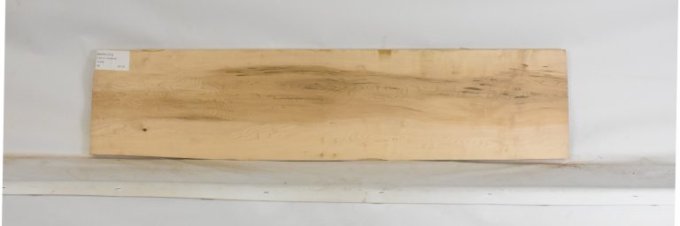 MAPH1273_1