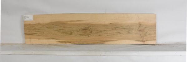 MAPH1273_2