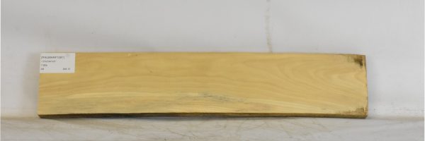 PAUMARF1097_2
