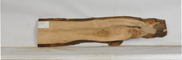 PEARSW1328_1