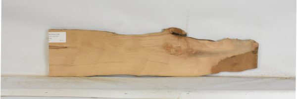 PEARSW1328_2