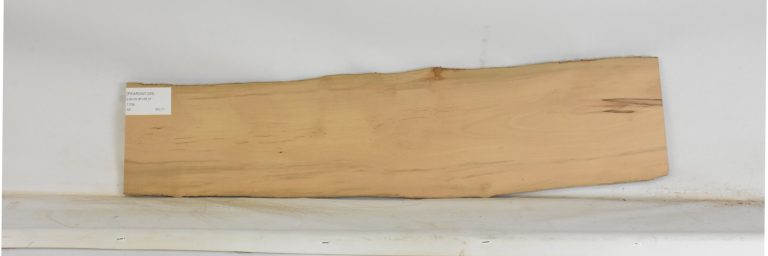 PEARSW1329_1