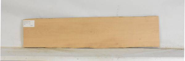 PEARSW1334_2