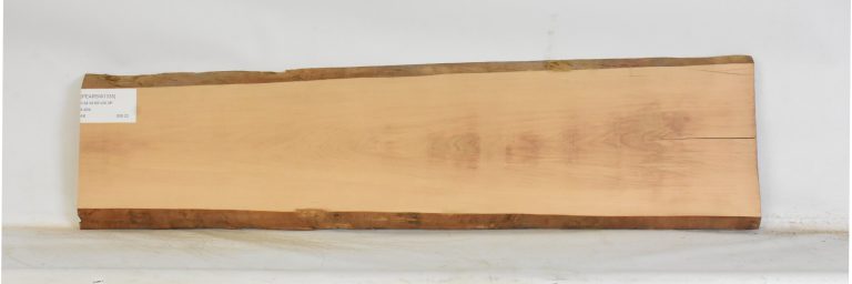 PEARSW1335_1