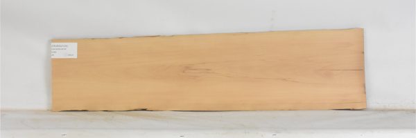 PEARSW1335_2