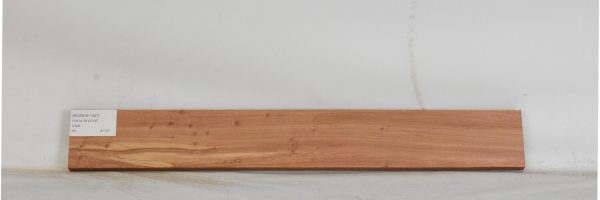 ROSEAF1347_1