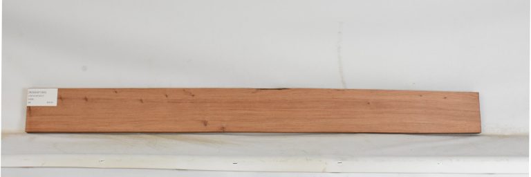 ROSEAF1362_1